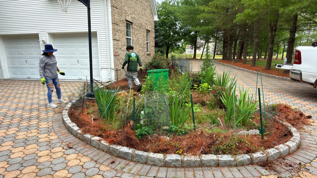 Cleanups & More
