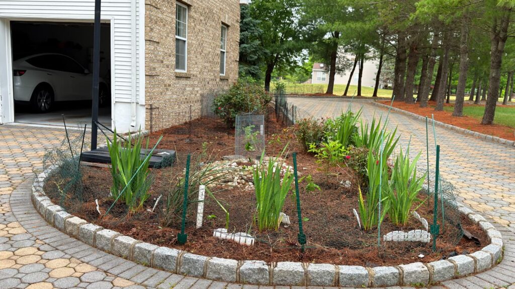 Vista Hermosa landscaping project
