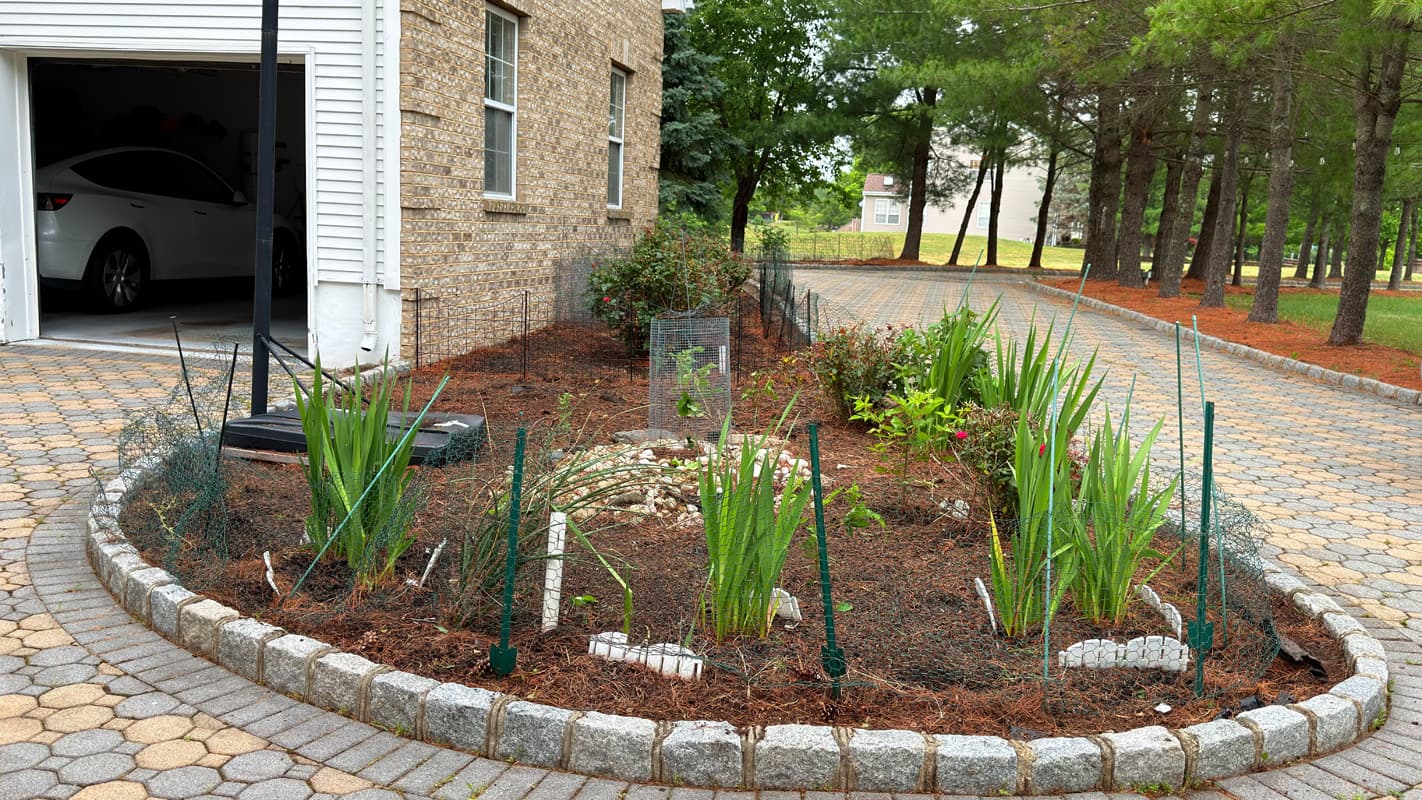 Mulch Installation