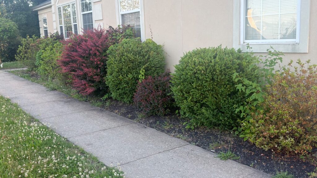 Vista Hermosa landscaping project