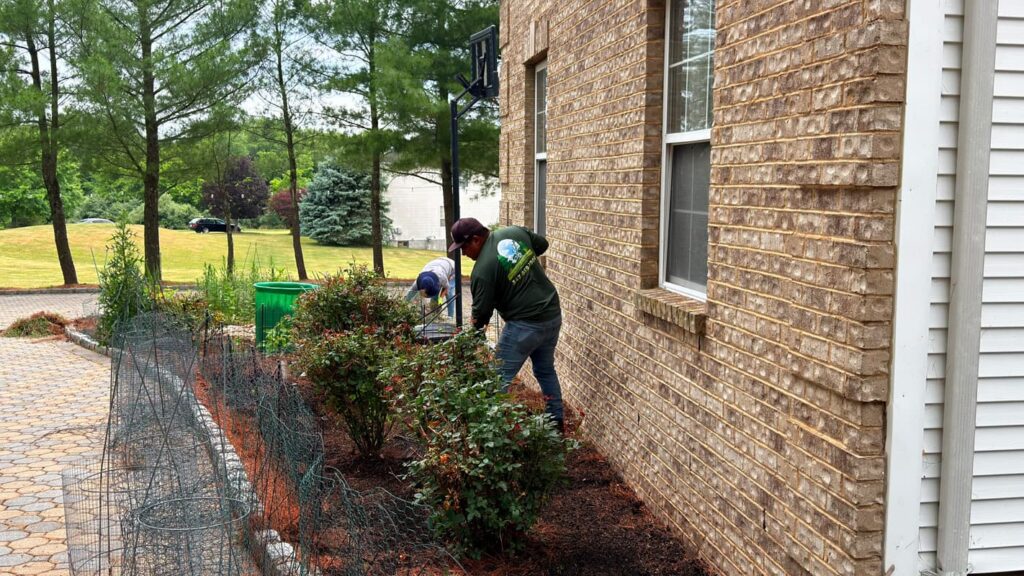 Vista Hermosa landscaping project