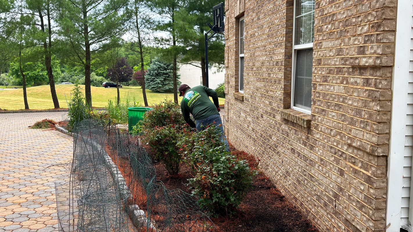 Vista Hermosa landscaping