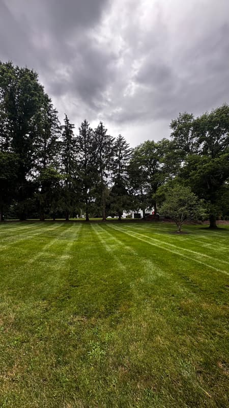 Lawn Maintenance