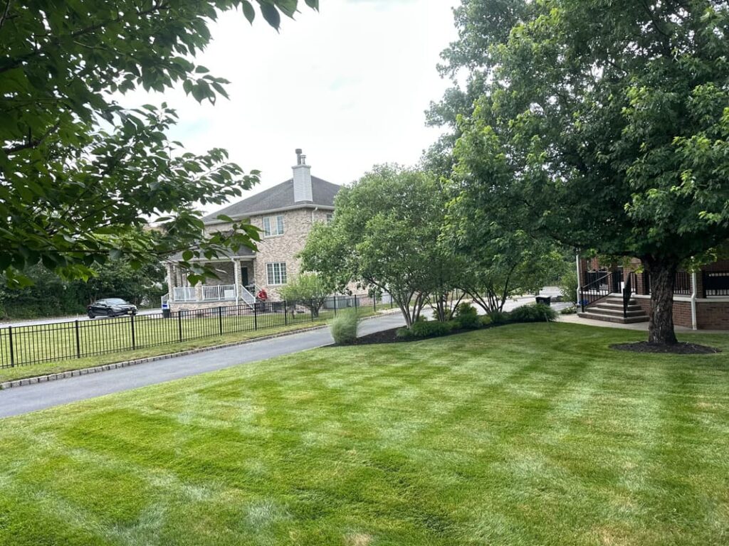 Vista Hermosa landscaping project