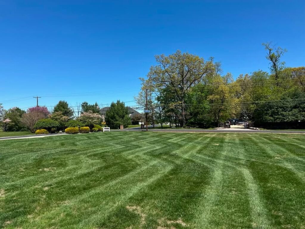 Vista Hermosa landscaping project