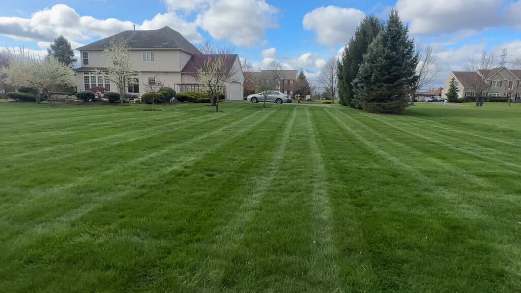 Vista Hermosa landscaping project