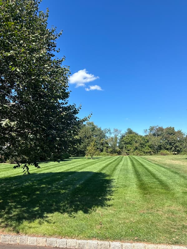 Vista Hermosa landscaping project