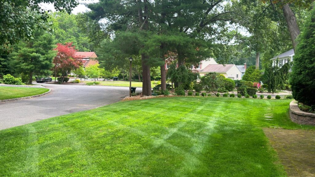Vista Hermosa landscaping project