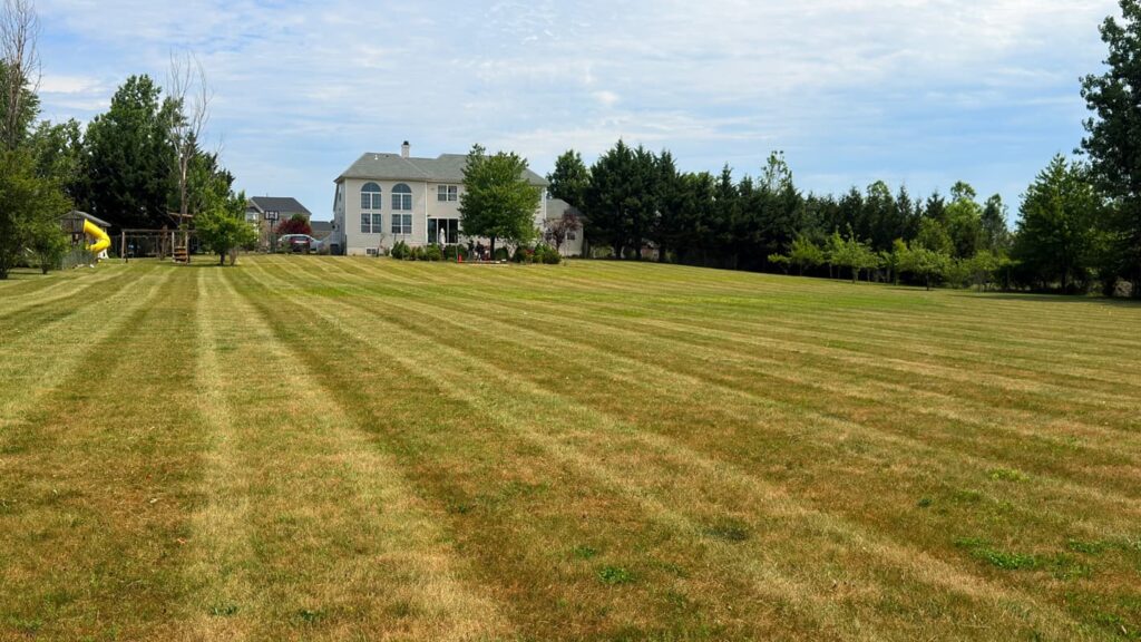 Vista Hermosa landscaping project