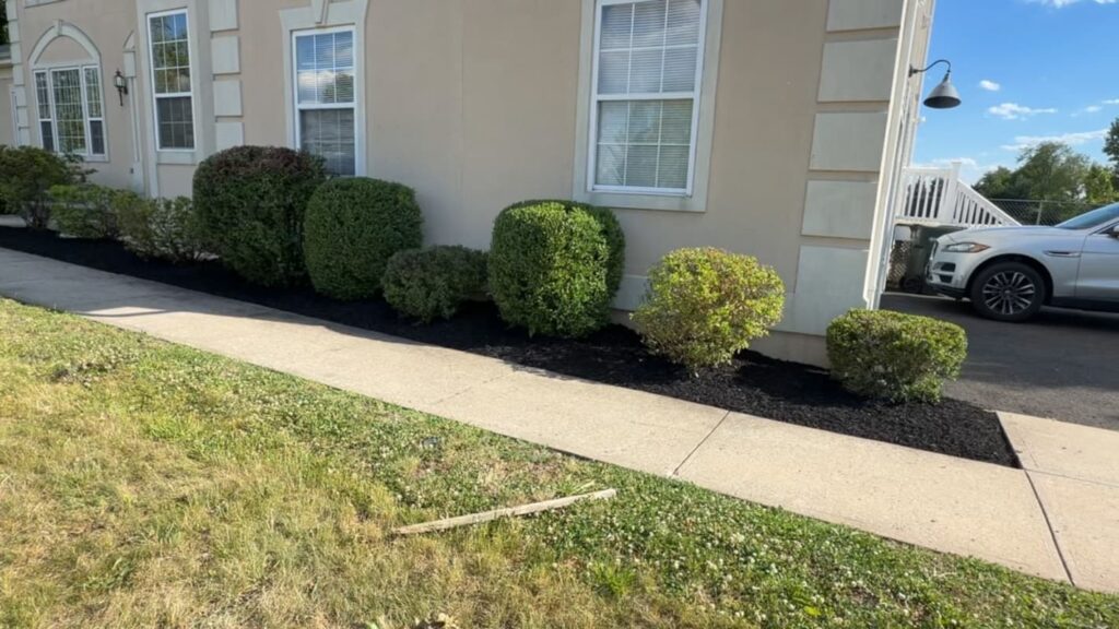 Vista Hermosa landscaping project