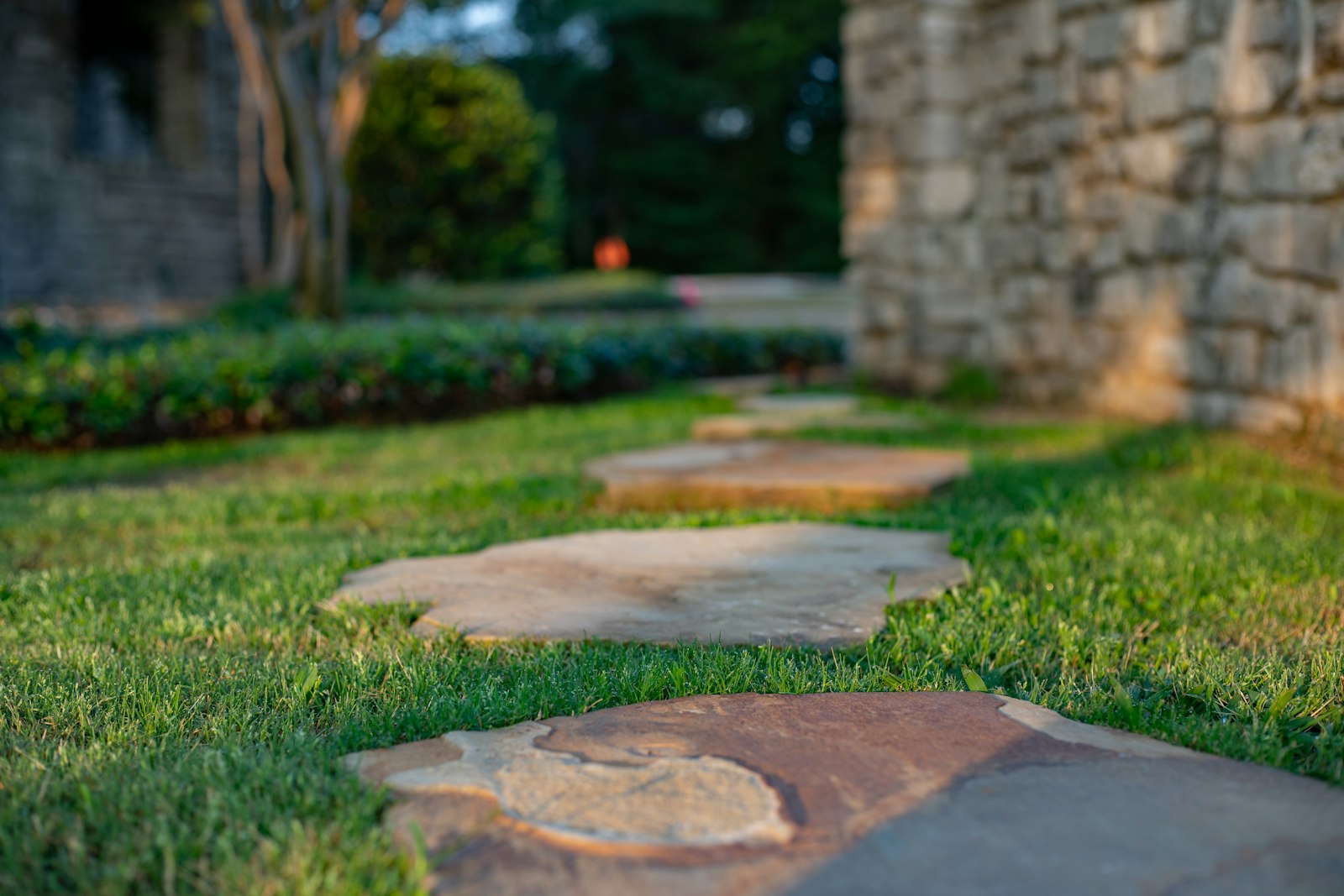 Vista Hermosa landscaping work