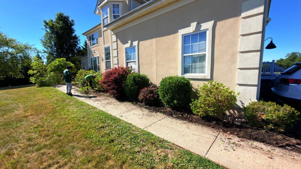 Vista Hermosa landscaping project