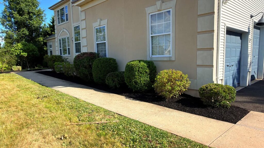 Vista Hermosa landscaping project
