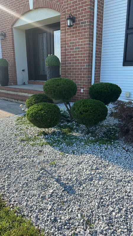 Vista Hermosa landscaping project