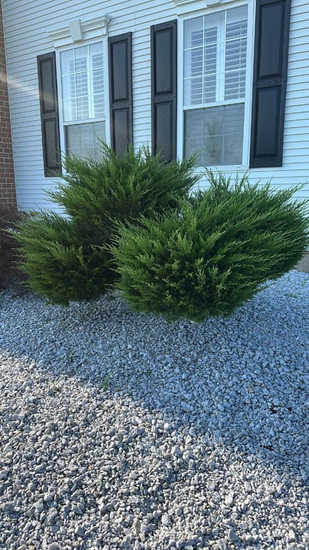 Vista Hermosa landscaping project