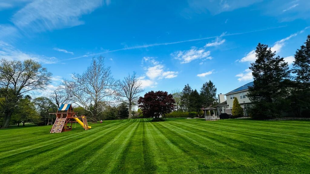 Vista Hermosa landscaping project