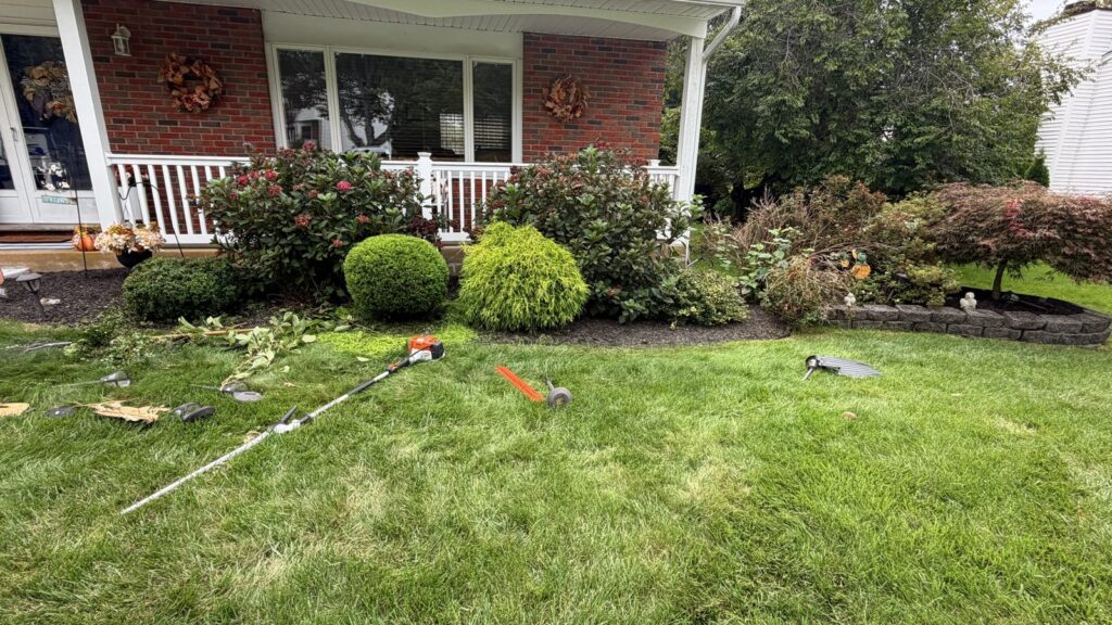 Vista Hermosa landscaping project